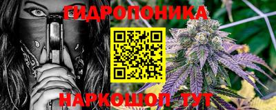 индика Кулебаки