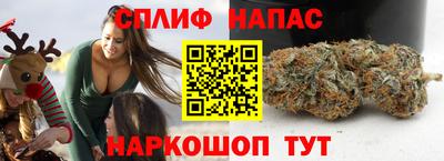 индика Кулебаки