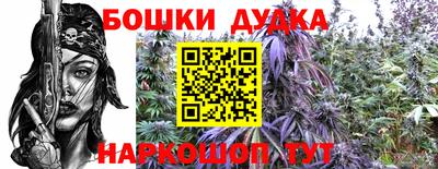 индика Кулебаки