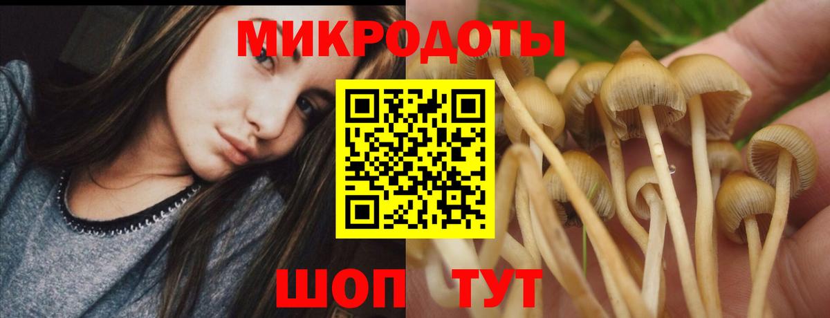 Галлюциногенные грибы GOLDEN TEACHER Аксай